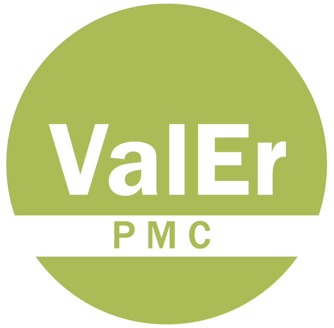 Project Management Consulting